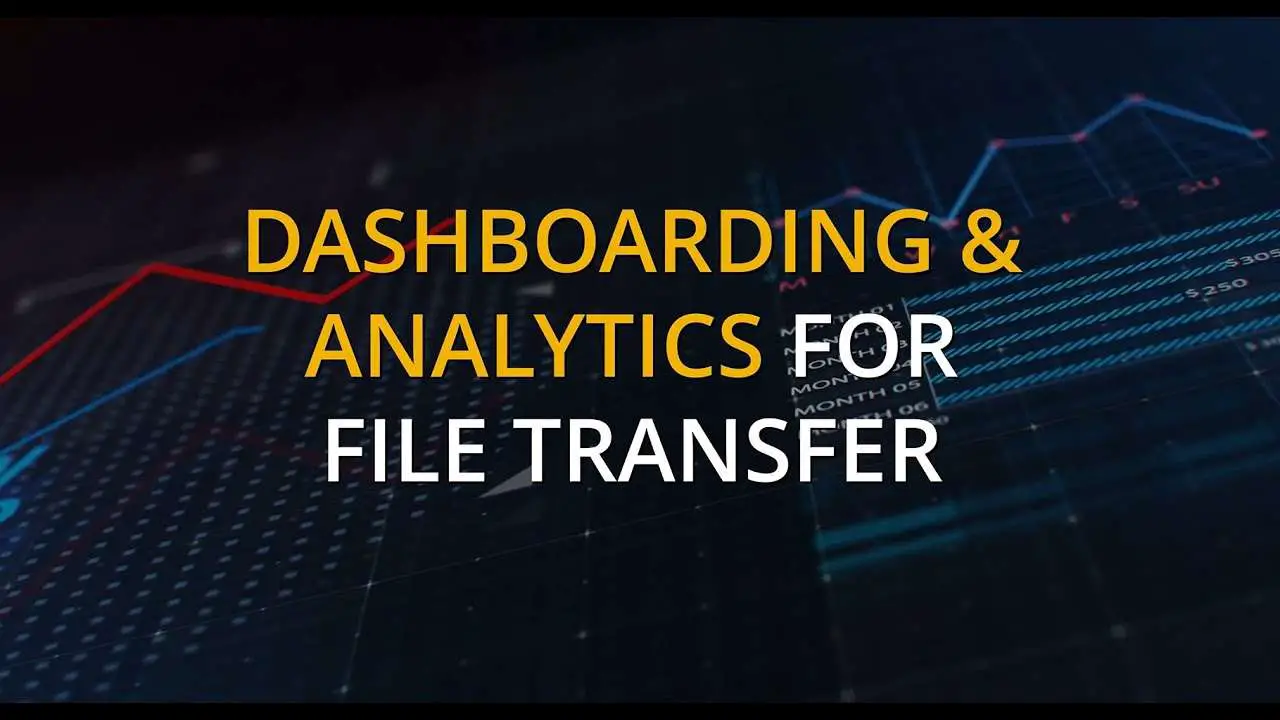File Transfer Analytics: Boost Efficiency and Enhance Data Security